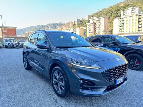 Annonce FORD KUGA Diesel 2021 d'occasion 