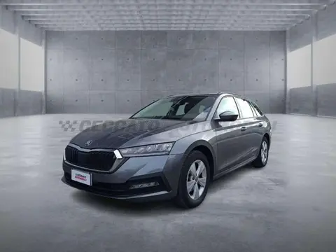 Annonce SKODA OCTAVIA Diesel 2023 d'occasion 