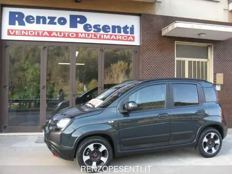 Used FIAT PANDA Hybrid 2024 Ad 