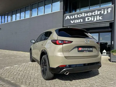 Used MAZDA CX-5 Petrol 2023 Ad 