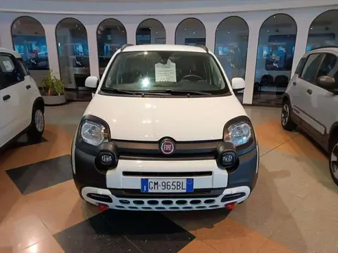 Used FIAT PANDA Hybrid 2023 Ad 