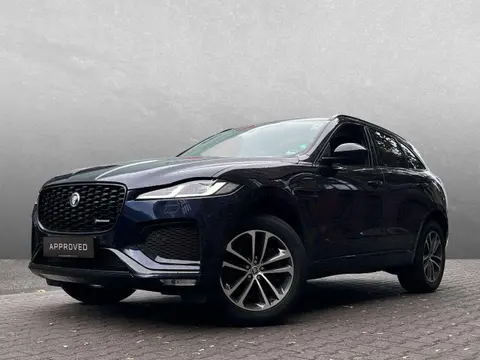 Annonce JAGUAR F-PACE Diesel 2024 d'occasion 