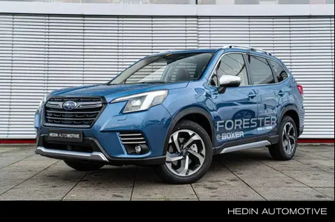 Used SUBARU FORESTER Hybrid 2023 Ad 