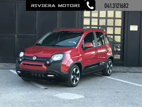 Annonce FIAT PANDA Hybride 2024 d'occasion 