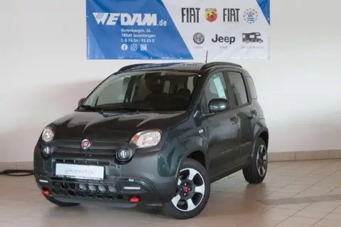 Used FIAT PANDA Petrol 2024 Ad 