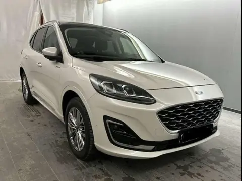 Used FORD KUGA Hybrid 2021 Ad 