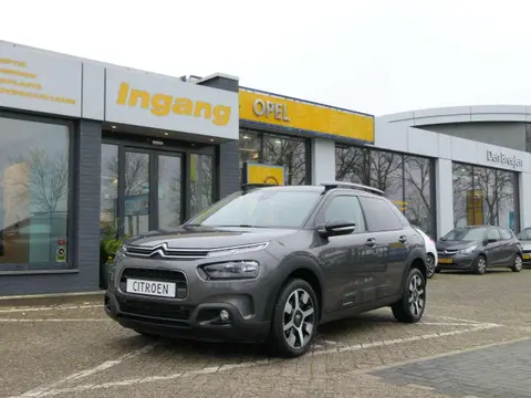 Annonce CITROEN C4 Essence 2019 d'occasion 