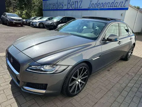 Annonce JAGUAR XF Diesel 2015 d'occasion 