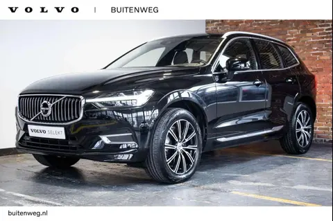 Used VOLVO XC60 Hybrid 2021 Ad 