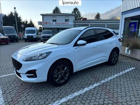 Annonce FORD KUGA Hybride 2021 d'occasion 