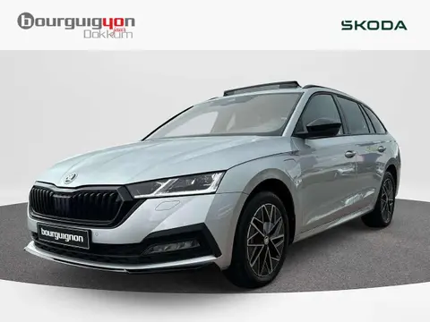 Annonce SKODA OCTAVIA Hybride 2024 d'occasion 