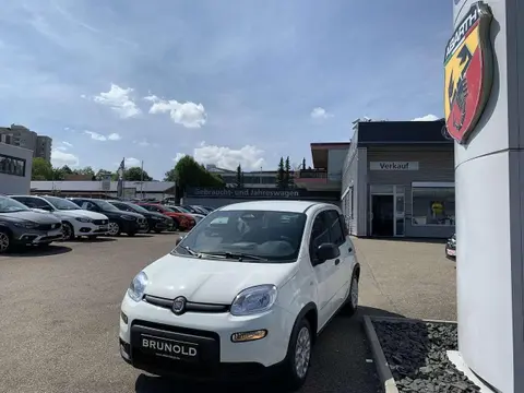 Used FIAT PANDA Petrol 2024 Ad 