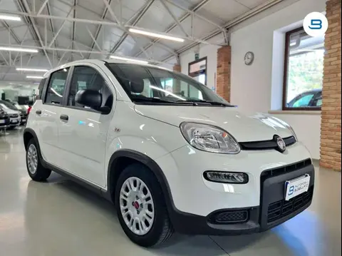 Annonce FIAT PANDA Hybride 2024 d'occasion 