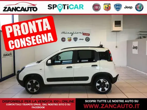 Annonce FIAT PANDA Hybride 2024 d'occasion 