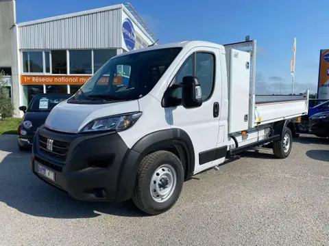 Annonce FIAT DUCATO Diesel 2023 d'occasion 