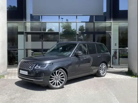 Used LAND ROVER RANGE ROVER Diesel 2019 Ad 