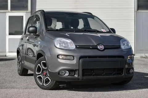 Annonce FIAT PANDA Hybride 2022 d'occasion 