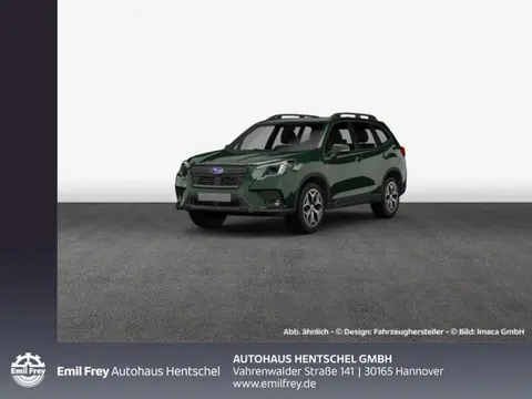 Annonce SUBARU FORESTER Hybride 2024 d'occasion 