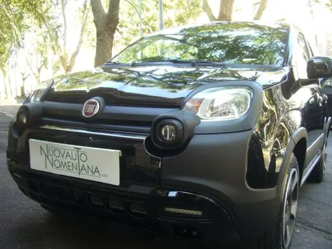 Used FIAT PANDA Hybrid 2023 Ad 