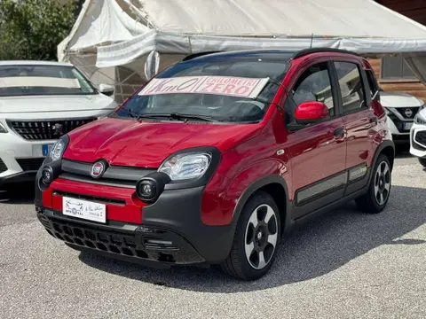 Used FIAT PANDA Hybrid 2024 Ad 