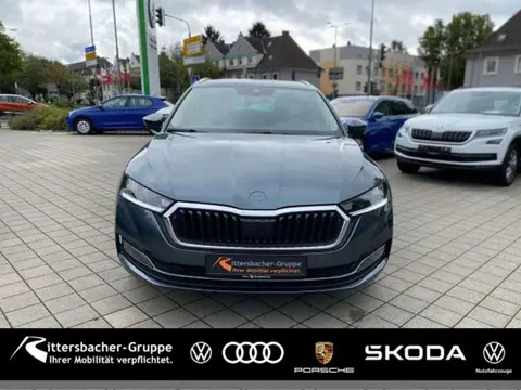 Annonce SKODA OCTAVIA Diesel 2020 d'occasion 