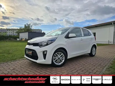 Used KIA PICANTO Petrol 2023 Ad 