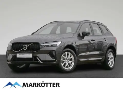 Annonce VOLVO XC60 Diesel 2023 d'occasion 