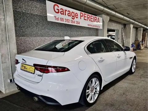 Used JAGUAR XE Petrol 2019 Ad 