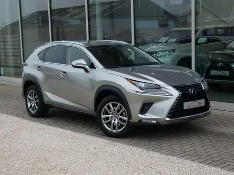 Annonce LEXUS NX Hybride 2021 d'occasion 