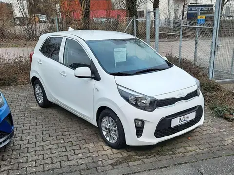 Used KIA PICANTO Petrol 2023 Ad 