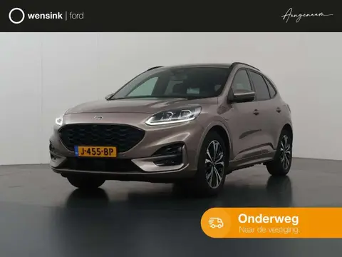 Used FORD KUGA Hybrid 2020 Ad 