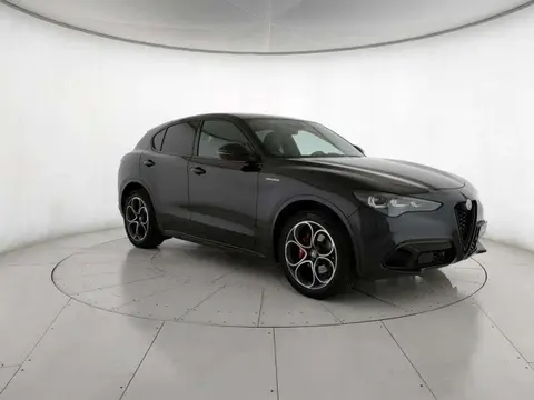 Annonce ALFA ROMEO STELVIO Diesel 2024 d'occasion 