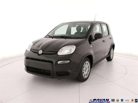 Used FIAT PANDA Hybrid 2024 Ad 