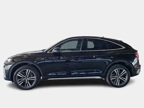 Used AUDI Q5 Hybrid 2021 Ad 