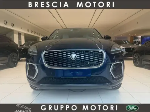 Used JAGUAR E-PACE Hybrid 2024 Ad 