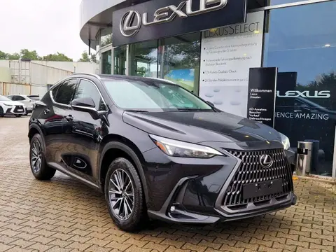 Annonce LEXUS NX Hybride 2024 d'occasion 