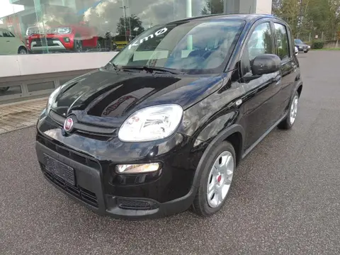 Annonce FIAT PANDA Hybride 2024 d'occasion 