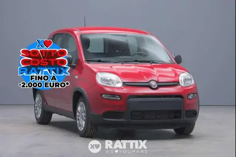 Used FIAT PANDA Hybrid 2024 Ad 