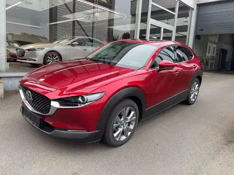 Annonce MAZDA CX-30 Essence 2023 d'occasion 