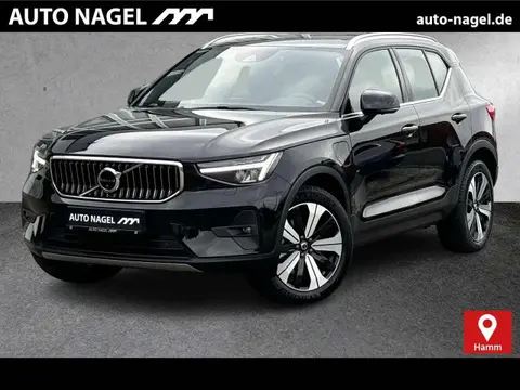 Used VOLVO XC40 Hybrid 2022 Ad 