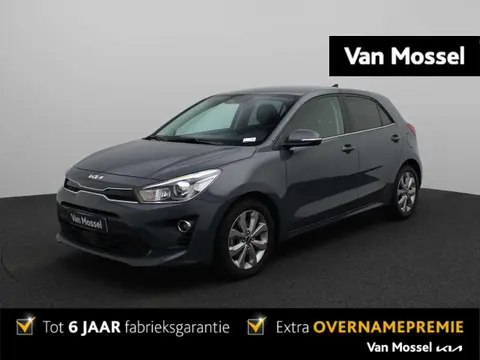 Used KIA RIO Petrol 2022 Ad 