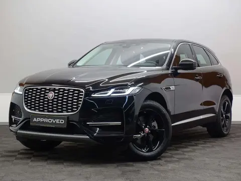 Used JAGUAR F-PACE Diesel 2021 Ad 