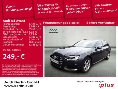 Annonce AUDI A4 Diesel 2023 d'occasion 