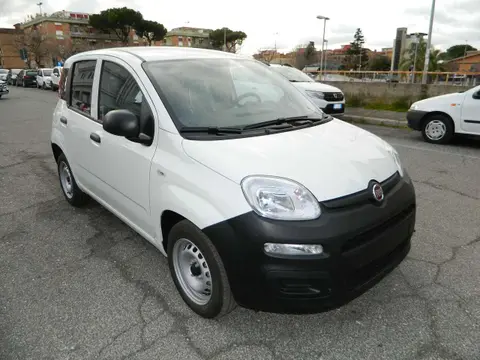 Used FIAT PANDA Hybrid 2023 Ad 