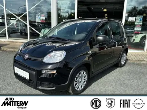 Used FIAT PANDA Petrol 2024 Ad 