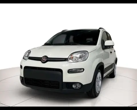 Used FIAT PANDA Petrol 2024 Ad 