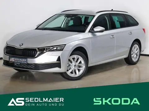 Annonce SKODA OCTAVIA Diesel 2024 d'occasion 