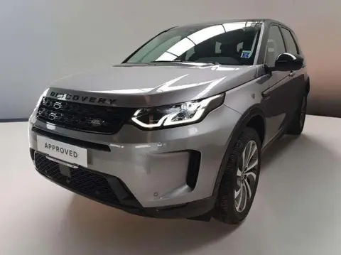 Used LAND ROVER DISCOVERY Hybrid 2021 Ad 