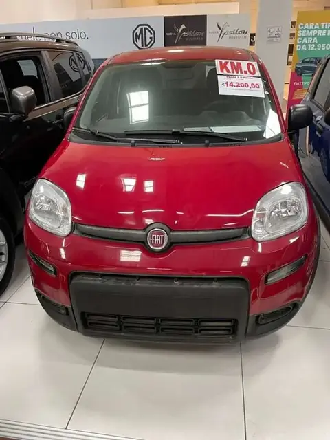 Used FIAT PANDA Hybrid 2024 Ad 