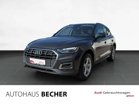 Used AUDI Q5 Diesel 2021 Ad 